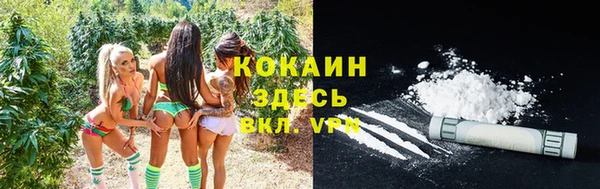 хмурый Абинск