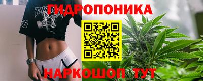 сатива Дубна