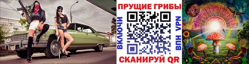 сколько стоит  Новоалександровск  Псилоцибиновые грибы GOLDEN TEACHER 