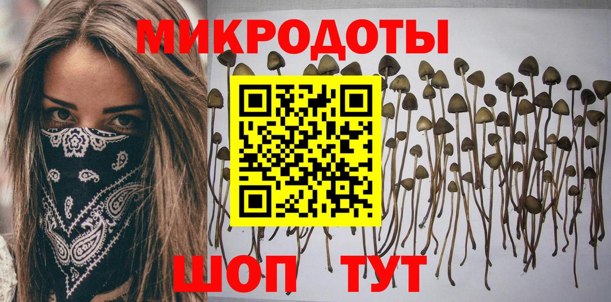 Псилоцибиновые грибы прущие грибы  наркошоп  Псилоцибиновые грибы мицелий  Новоалександровск  Вход с VPN 