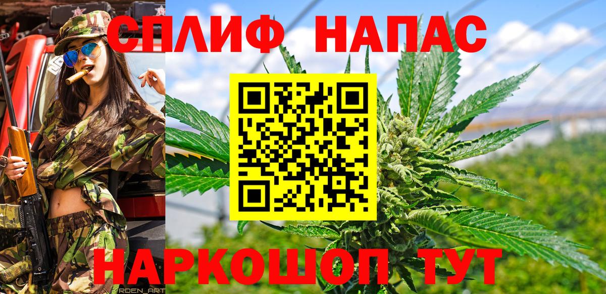 Канабис план Новоалександровск